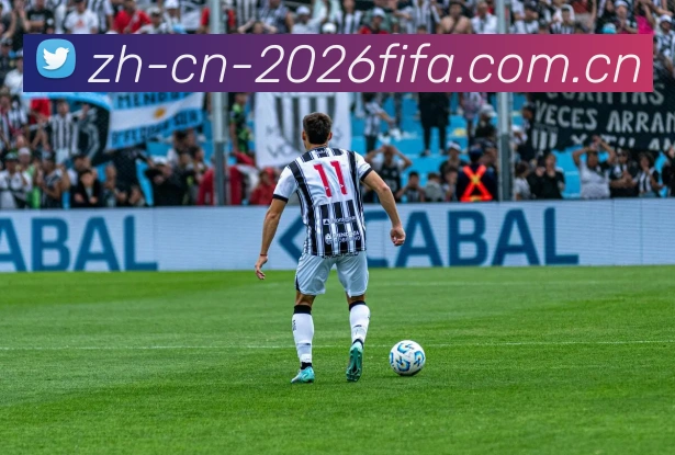FIFA官方认证